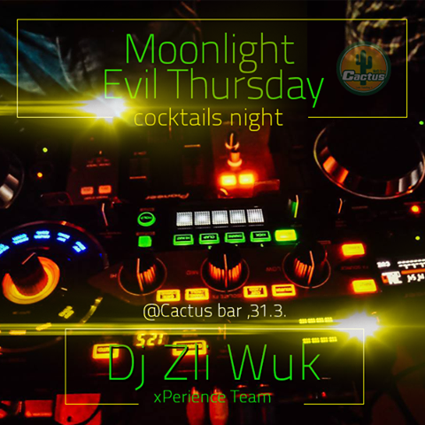 Cactus - flajer - 10