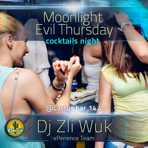 Cactus - flajer - 14