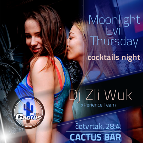 Cactus - flajer - 14